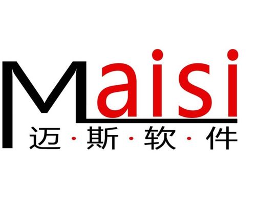 科技賦能，數(shù)智轉(zhuǎn)型 合肥邁斯軟件科技的軟件開發(fā)之道